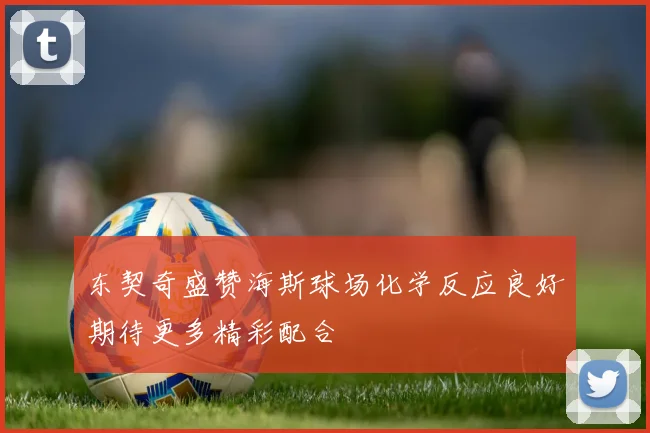 东契奇盛赞海斯球场化学反应良好期待更多精彩配合
