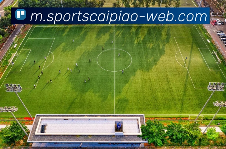 大发彩票发展历程